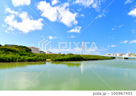 とよみ大橋周辺を望む(沖縄県豊見城市)【2023.2】 100967405