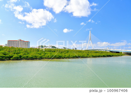 とよみ大橋周辺を望む(沖縄県豊見城市)【2023.2】 100967406