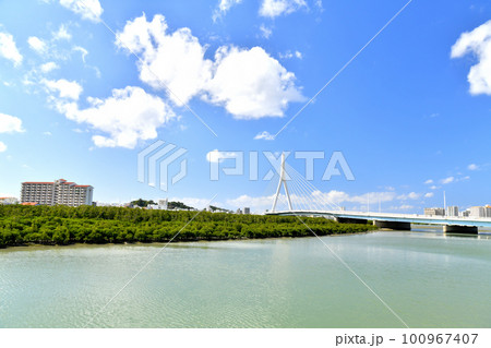 とよみ大橋周辺を望む(沖縄県豊見城市)【2023.2】 100967407