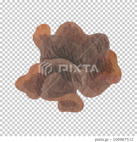 Kikurage 手繪插圖 Kikurage 手繪插圖 100967512