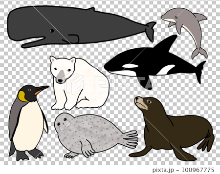 海洋生物的可愛插圖 100967775