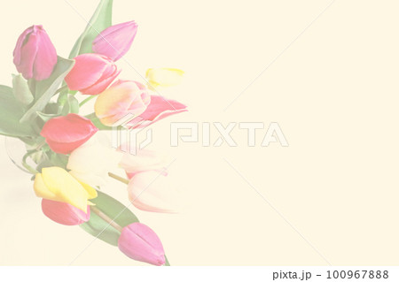 カラフルなチューリップの花束 カラフルなチューリップの花束 100967888