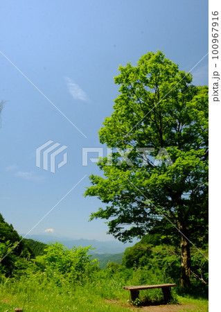 陣馬街道展望所より富士山を望む 【相模原市津久井 5月】 陣馬街道展望所より富士山を望む 【相模原市津久井 5月】 100967916