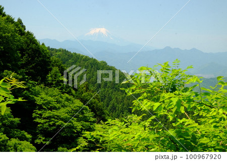 新緑越しの富士山を望む　【相模原市津久井　5月】 100967920