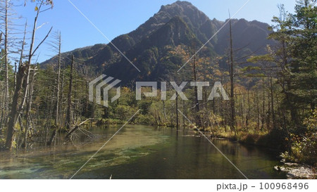 秋の上高地岳沢湿原 秋の上高地岳沢湿原 100968496