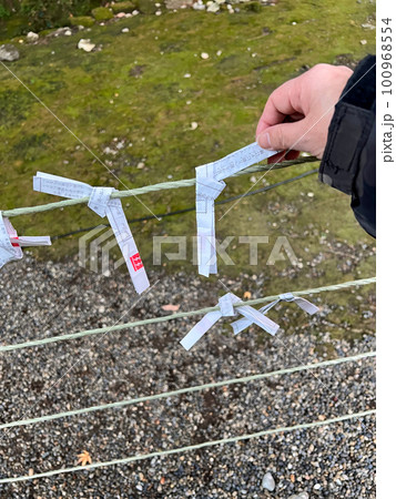 神社のおみくじ と おみくじ掛け 神社のおみくじ と おみくじ掛け 100968554