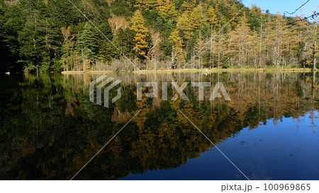 紅葉が水面に映える秋の上高地明神池(明神一之池) 紅葉が水面に映える秋の上高地明神池(明神一之池) 100969865