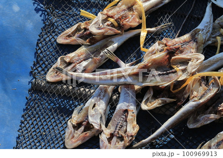 the salted fish hanging on the boat the salted fish hanging on the boat 100969913