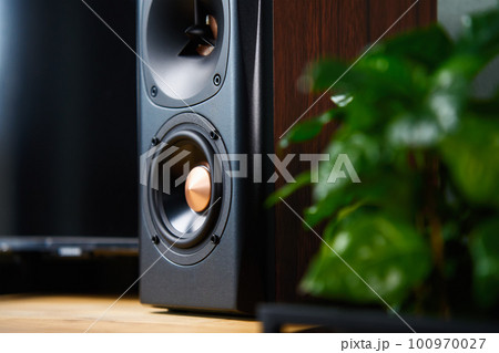 Sound speaker in living room interior. Set for listening music. Audio equipment Sound speaker in living room interior. Set for listening music. Audio equipment 100970027