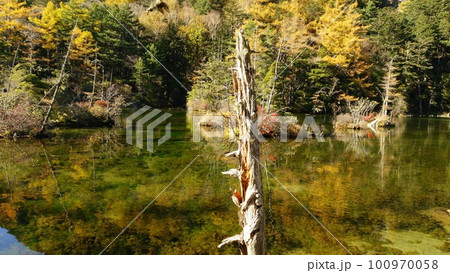 紅葉が水面に映える秋の上高地明神池(明神二之池) 紅葉が水面に映える秋の上高地明神池(明神二之池) 100970058