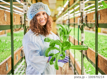 Female gardener holding pot with green arugula plant in greenhouse. Portrait of woman in work overalls looking at camera and smiling while standing in aisle between racks with plants. 100970214