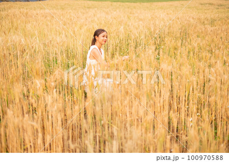 Young Asian women in white dresses in the Barley rice field Young Asian women in white dresses in the Barley rice field 100970588