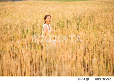 Young Asian women  in white dresses  in the Barley rice field 100970592
