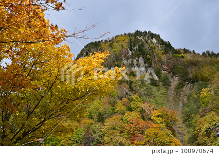 層雲峡紅葉谷付近の黄葉 100970674