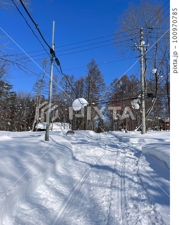 【長野県信濃町大学村】雪で車が通れなくなった別荘地の林道 【長野県信濃町大学村】雪で車が通れなくなった別荘地の林道 100970785