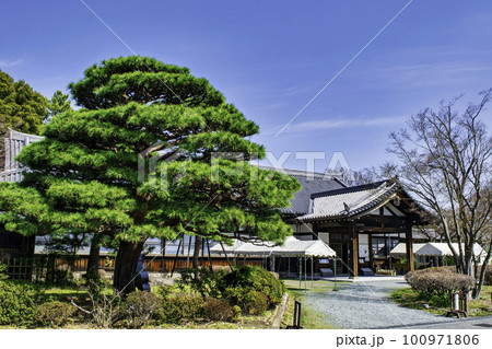 東京都　府中市　東郷寺（とうごうじ） 100971806