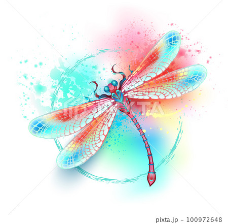 Red dragonfly on watercolor backgroundのイラスト素材