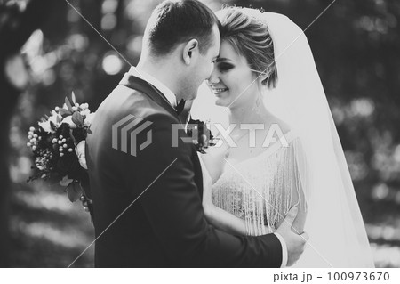 Romantic, fairytale, happy newlywed couple hugging and kissing in a park, trees in background Romantic, fairytale, happy newlywed couple hugging and kissing in a park, trees in background 100973670