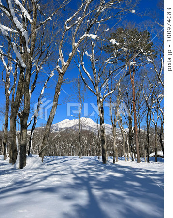 【長野県信濃町】白く雪化粧した2月の妙高山 100974083