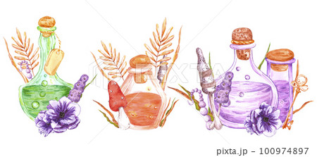 Hand drawn watercolor magical poison composition. Isolated on white background. Scrapbook, post card, banner, lable. 100974897