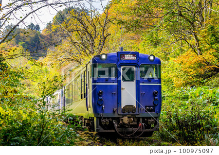 秋の陽ざしと紅葉の山中を走る臨時列車~只見線~ 秋の陽ざしと紅葉の山中を走る臨時列車~只見線~ 100975097