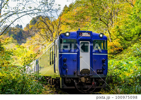 秋の陽ざしと紅葉の山中を走る臨時列車~只見線~ 秋の陽ざしと紅葉の山中を走る臨時列車~只見線~ 100975098