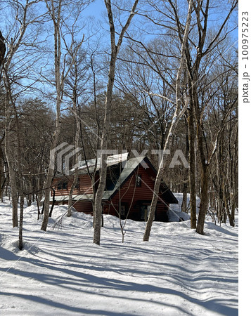 【長野県信濃町大学村】季節が春に切り替わる3月の別荘風景 100975223