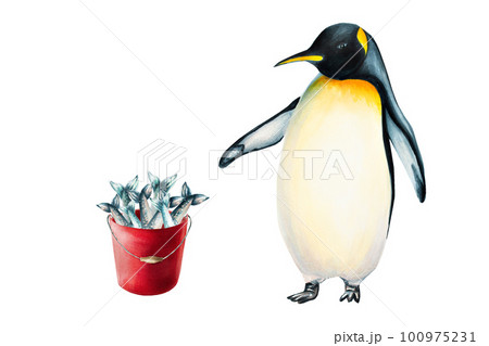 Watercolor king penguin with red bucket full of fish. For designers, decoration, postcards, wrapping paper, scrapbooking, cover and logos, invitations, posters and textile 100975231