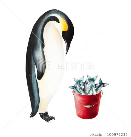 Watercolor king penguin with red bucket full of fish. For designers, decoration, postcards, wrapping paper, scrapbooking, cover and logos, invitations, posters and textile Watercolor king penguin with red bucket full of fish. For designers, decoration, postcards, wrapping paper, scrapbooking, cover and logos, invitations, posters and textile 100975232