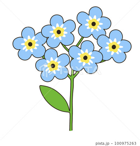 ワスレナグサ 100975263