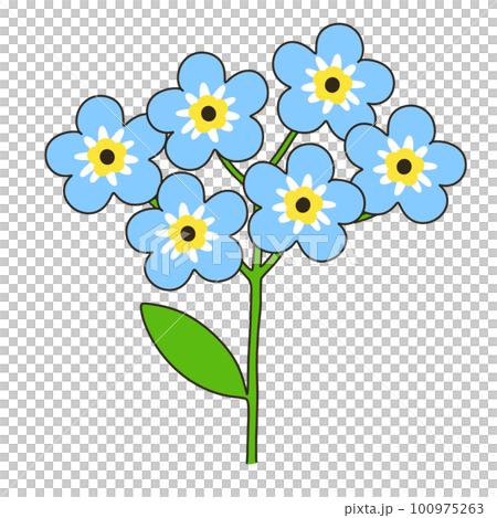 Waslenagsa 100975263