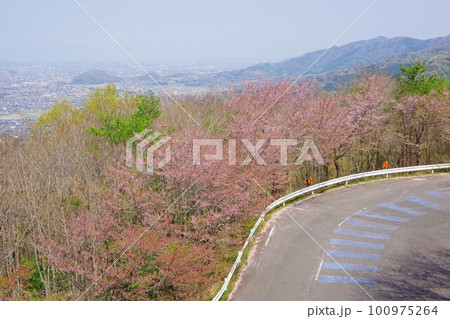 徳島県 チェリーロードラインから吉野川市・石井町方面を望む 徳島県 チェリーロードラインから吉野川市・石井町方面を望む 100975264