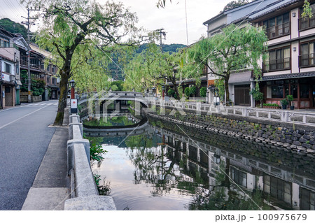 静かな朝 城崎温泉の川べり柳通り（兵庫県豊岡市） 100975679