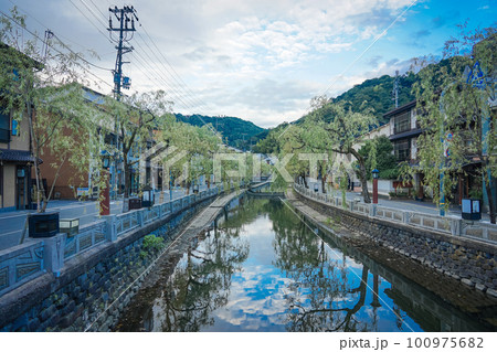 静かな朝 城崎温泉の川べり柳通り(兵庫県豊岡市) 静かな朝 城崎温泉の川べり柳通り(兵庫県豊岡市) 100975682