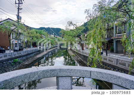 静かな朝 城崎温泉の川べり柳通り（兵庫県豊岡市） 100975683