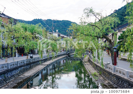 静かな朝 城崎温泉の川べり柳通り（兵庫県豊岡市） 100975684