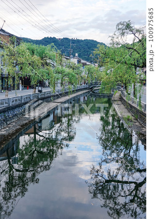 静かな朝 城崎温泉の川べり柳通り（兵庫県豊岡市） 100975685