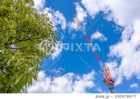 タワークレーン　青空 街路樹 100978677