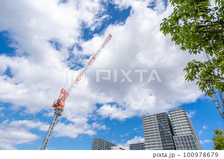 タワークレーン　青空 街路樹 100978679