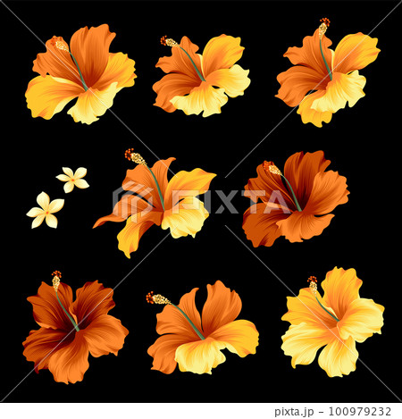 ハイビスカスのベクターアロハ素材, ハイビスカスのベクターアロハ素材, 100979232