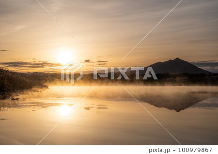 茨城県筑西市　母子島遊水地の桜と筑波山のリフレクション 100979867