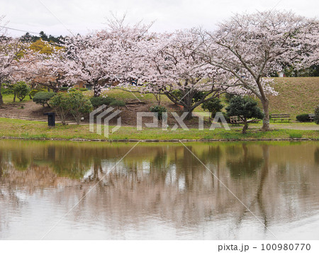 内みのわ運動公園・日本庭園(君津市) 内みのわ運動公園・日本庭園(君津市) 100980770