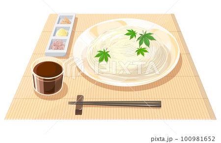そうめんのイラスト 100981652