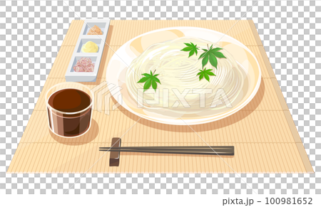 そうめんのイラスト 100981652