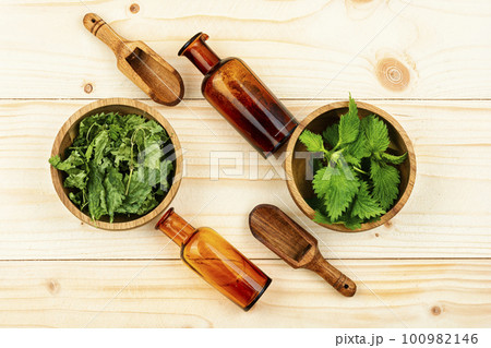 Fresh and dry nettle. Fresh and dry nettle. 100982146
