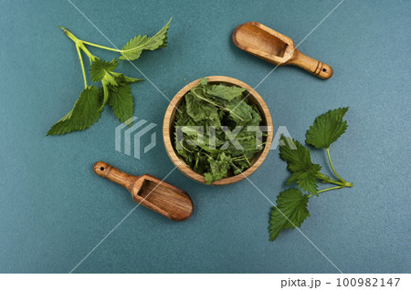Green leaves fresh and dry nettle. 100982147