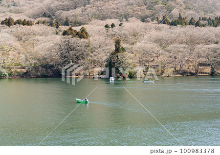 神奈川県箱根町　芦ノ湖上からみた九頭竜神社 100983378