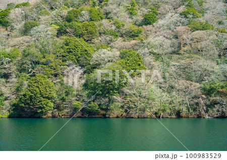 神奈川県箱根町 芦ノ湖 神奈川県箱根町 芦ノ湖 100983529