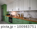New green modern well designed kitchen interior 100983751