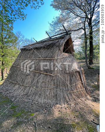 斐太歴史の里にある竪穴住居 斐太歴史の里にある竪穴住居 100983959